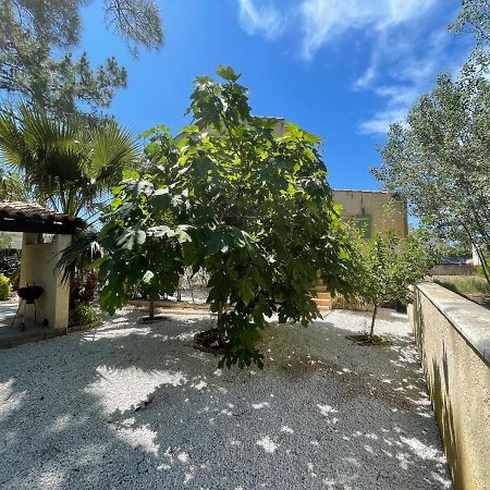 Marseillan Plage Joli T2 Εξωτερικό φωτογραφία